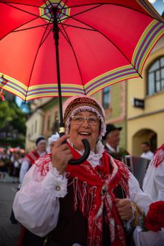 Izjemen obisk zaznamoval 50. Dneve narodnih noš in oblačilne dediščine v Kamniku (Blaž T. Muc)  (90)